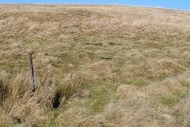 File:Fence post on Crug Du - geograph.org.uk - 1179844.jpg