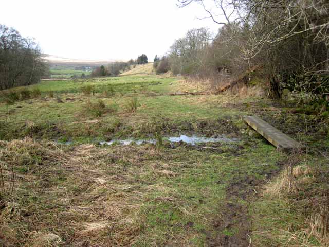 File:Field on the Pennine Way - geograph.org.uk - 680625.jpg