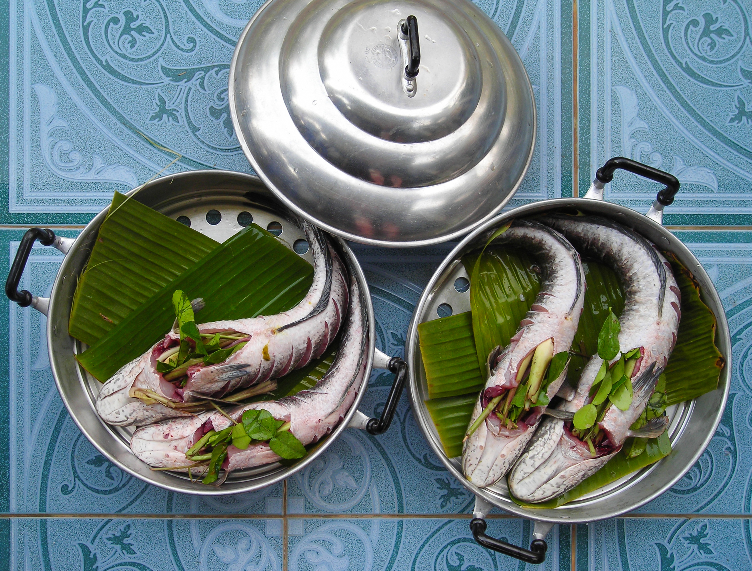 https://upload.wikimedia.org/wikipedia/commons/1/19/Fish_stuffed_with_Thai_herbs.jpg