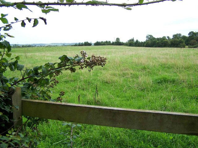 File:Footpath To Middlezoy - geograph.org.uk - 1435824.jpg