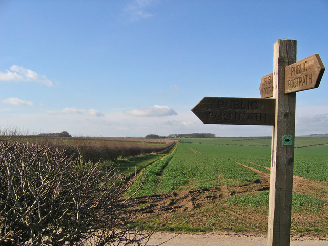 File:Footpath Towards Foxcovert Farm - geograph.org.uk - 364709.jpg