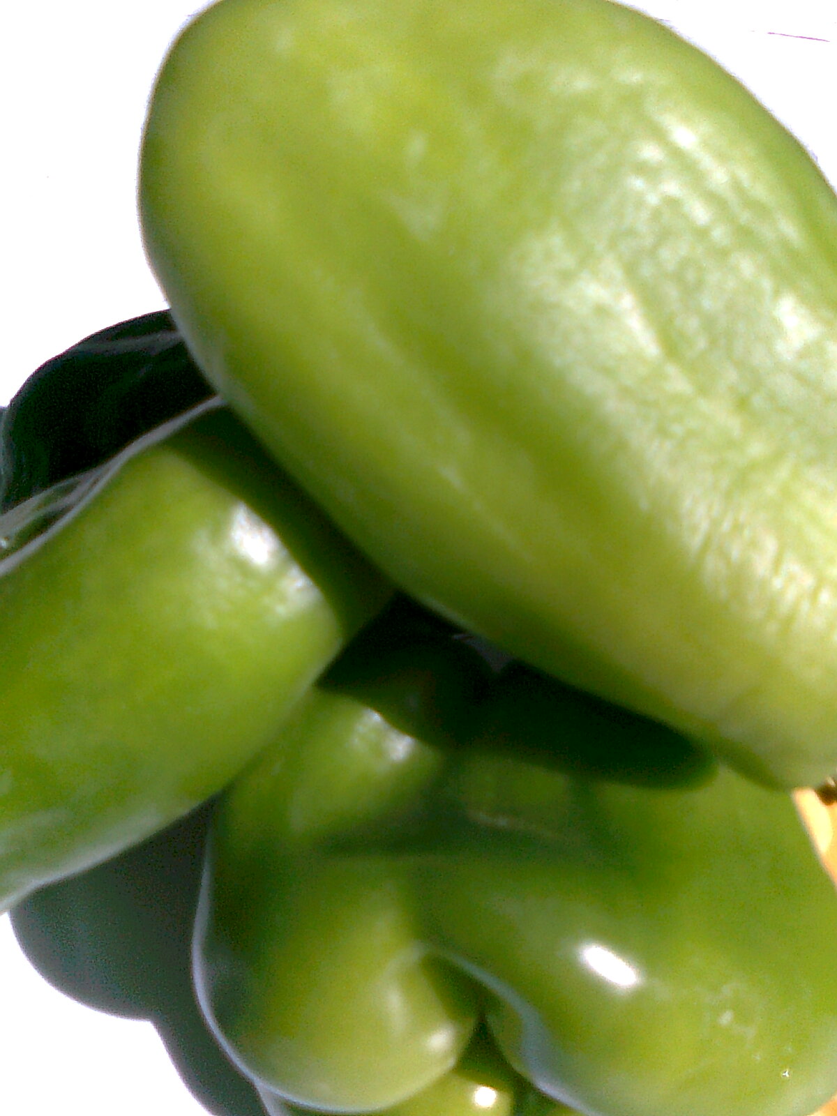File:Green-Bell-Pepper.jpg - Wikimedia Commons