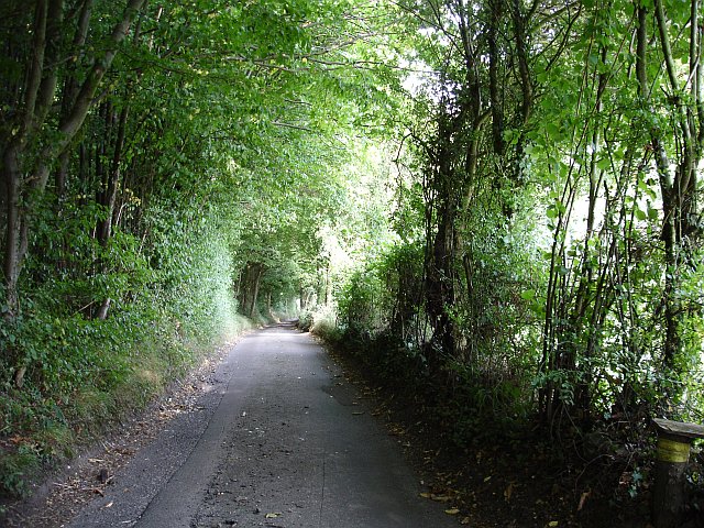 File:Green tunnel - geograph.org.uk - 239757.jpg