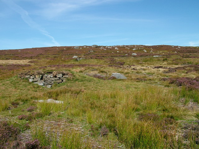 File:Grouse butts on Long Man - geograph.org.uk - 2046186.jpg