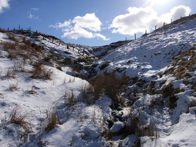 File:Long Grain - geograph.org.uk - 136640.jpg