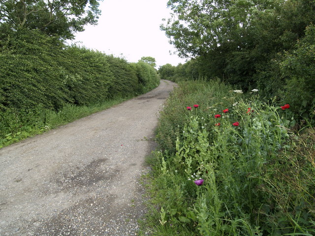 File:Longbrough Lane and Wild Poppies - geograph.org.uk - 496207.jpg