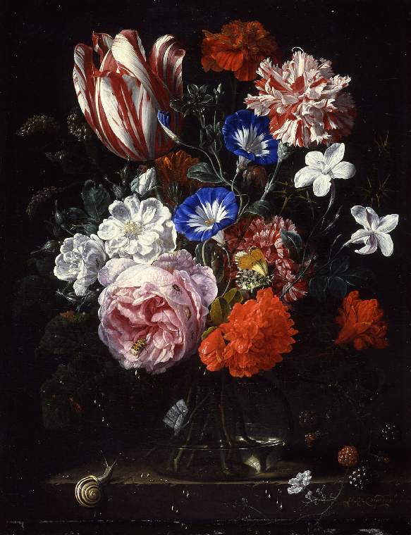 https://upload.wikimedia.org/wikipedia/commons/1/19/Nicolaes_van_Verendael_-_A_vase_of_flowers.jpg