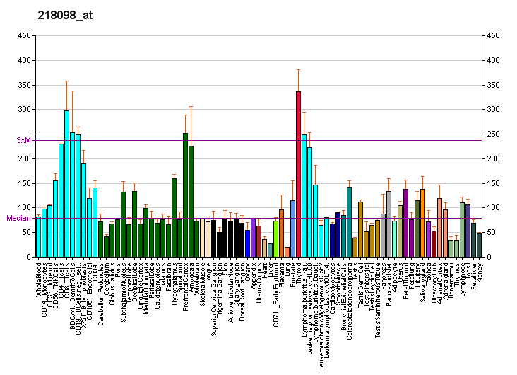 File:PBB GE ARFGEF2 218098 at fs.png