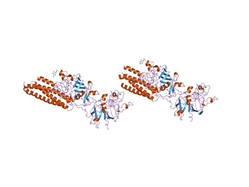 File:PDB 1lt9 EBI.jpg