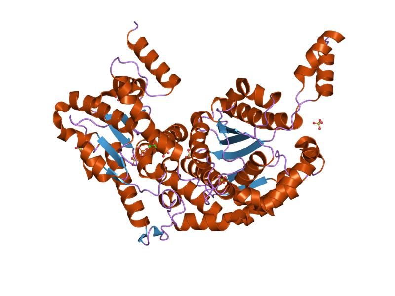 File:PDB 1nuh EBI.jpg