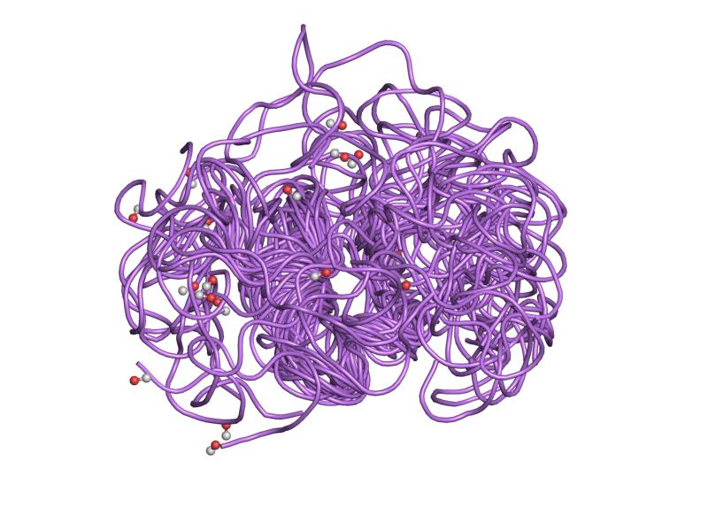 File:PDB 1s4g EBI.jpg