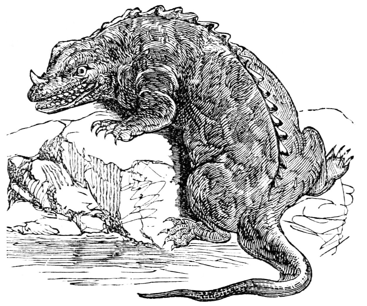 PSM_V24_D367_Iguanodon.jpg