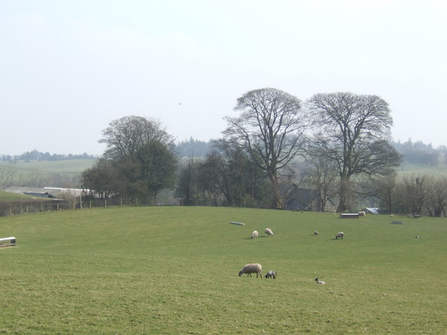 Land above. Sheep Land. Hengoed.