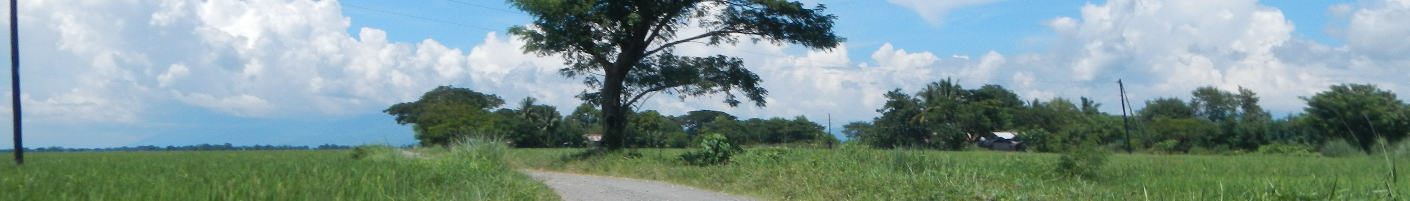 Tagaytay Banner.jpg