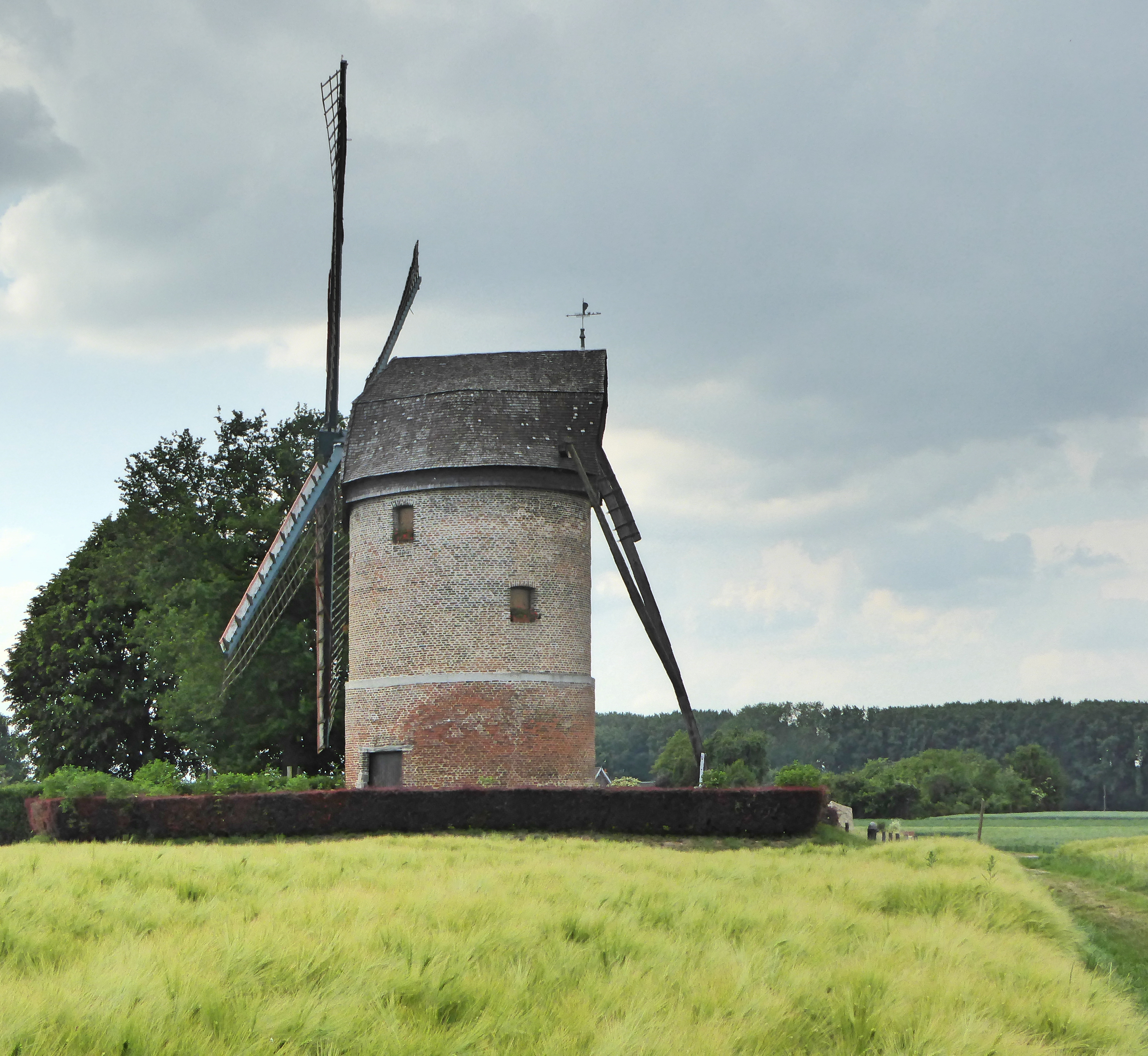 Moulin de Vertain  France Hauts-de-France Nord Templeuve-en-Pévèle 59242