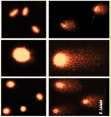 File:Test-comete-Lacaze-INRAE.jpg