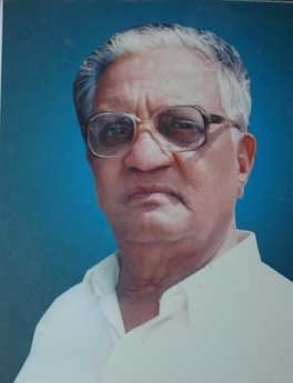 <span class="mw-page-title-main">V. L. Patil</span> Indian politician