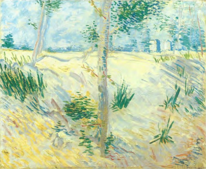 File:Van Gogh - Árvores numa ladeira.jpg
