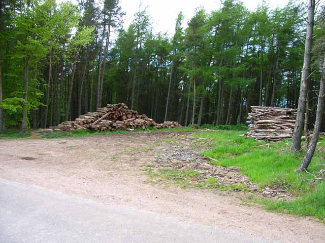 File:Woodpiles at Bardspark - geograph.org.uk - 177810.jpg