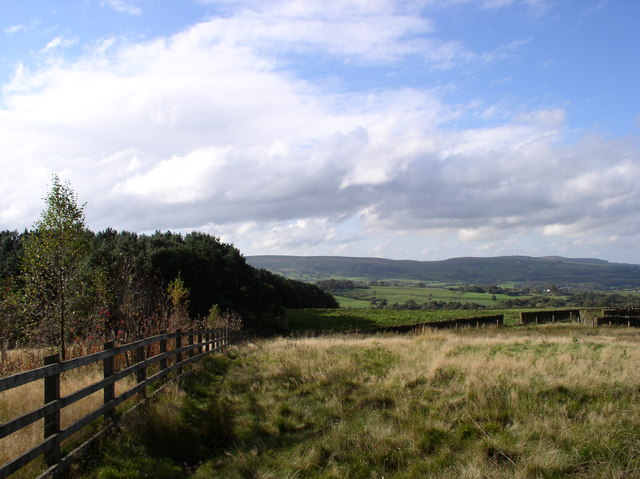 Woods at Hurstwood Reservoir - geograph.org.uk - 1161098