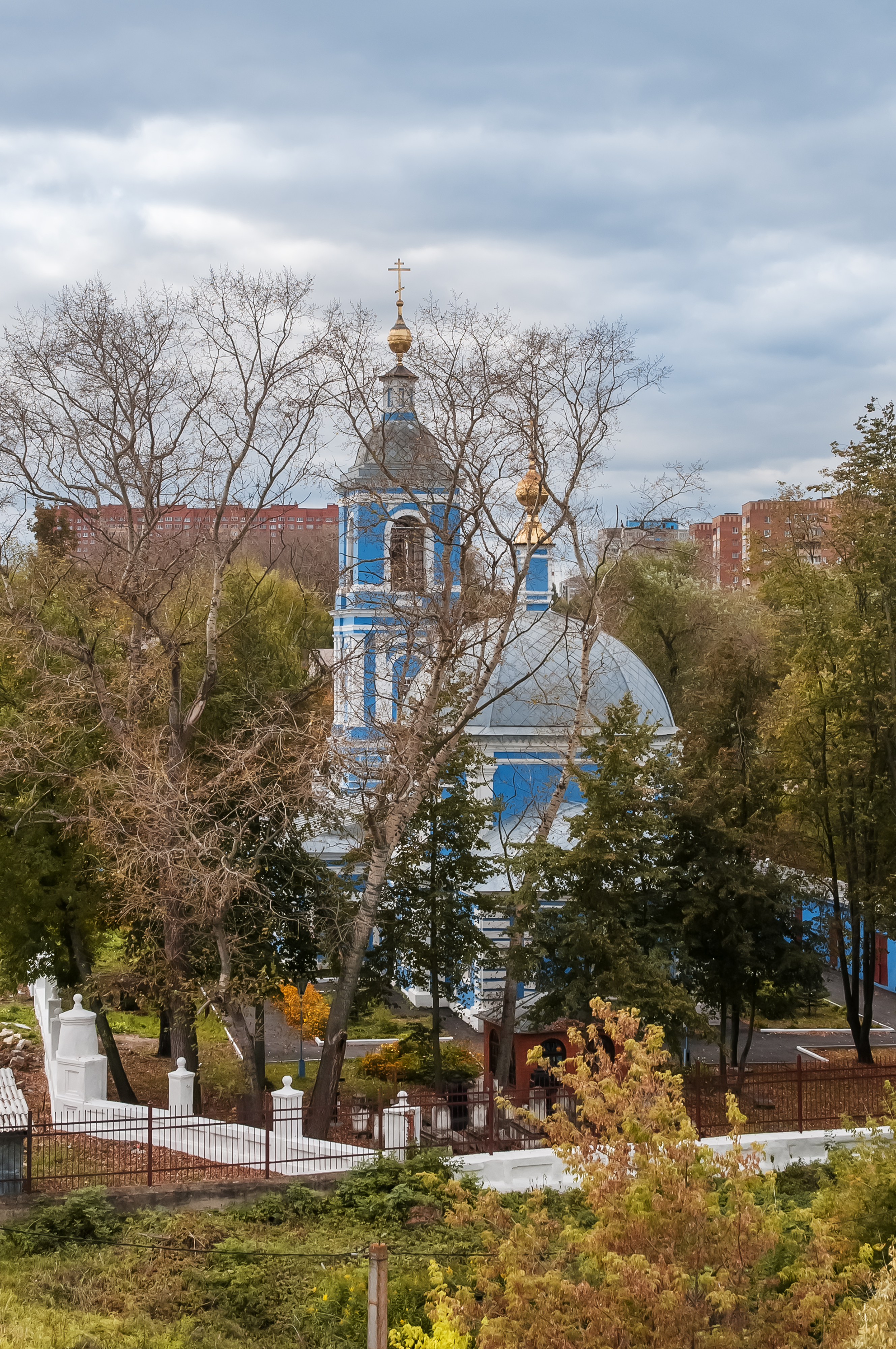 Храм иоанна златоуста воскресенск