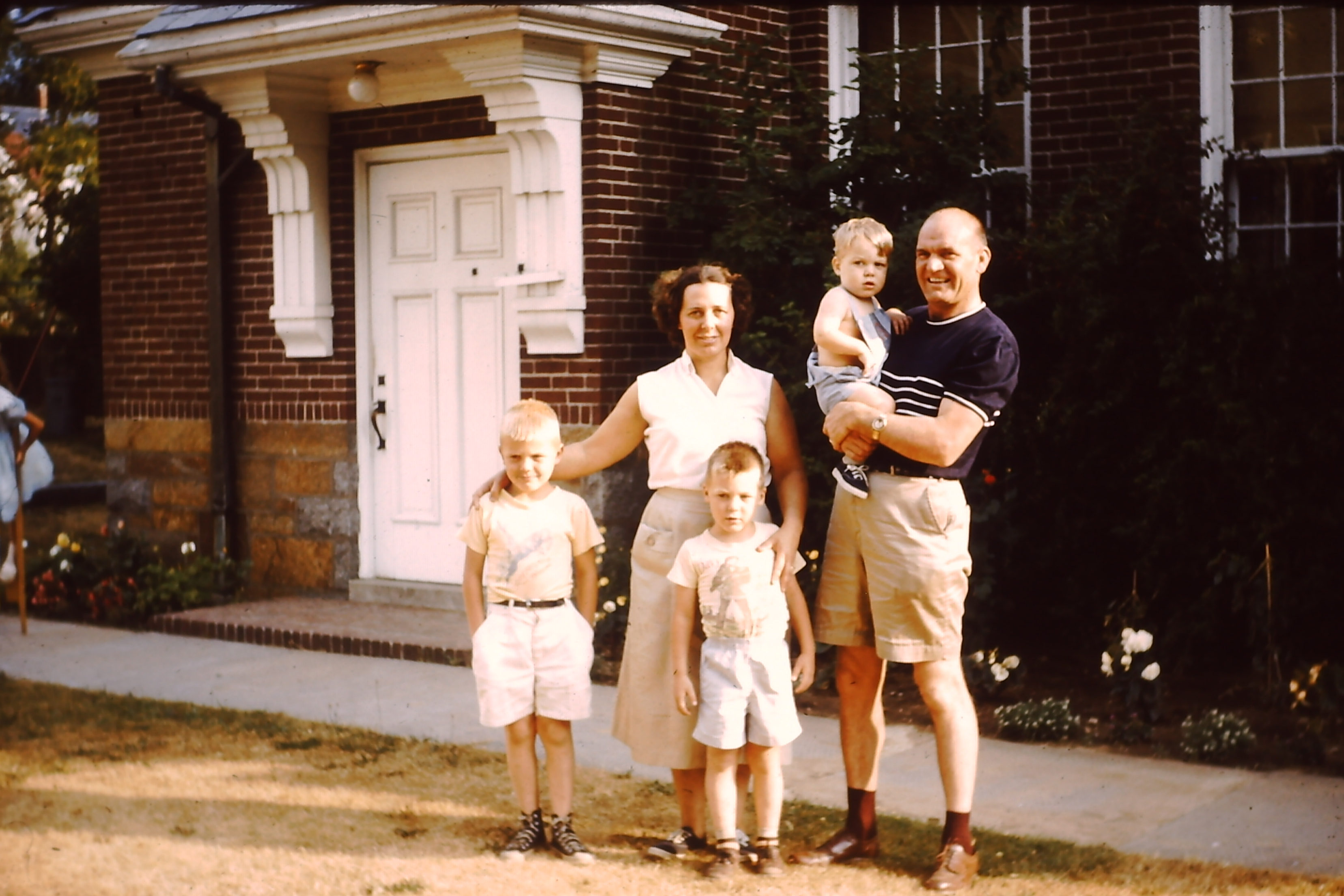 Белая американская семья 1950