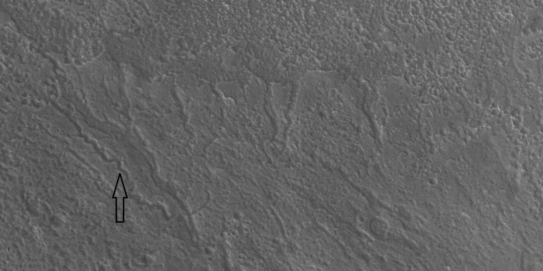 Channels,as seen by HiRISE under the HiWish program