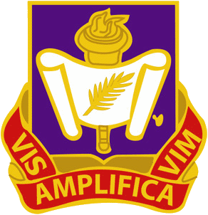 <span class="mw-page-title-main">489th Civil Affairs Battalion</span> Military unit