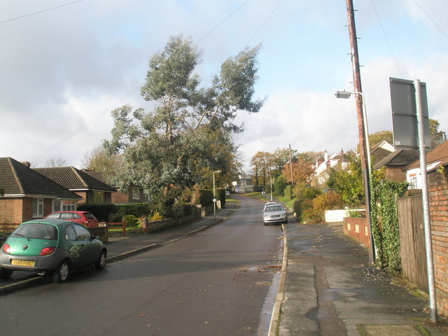 File:An autumnal Woodcroft Lane - geograph.org.uk - 1593954.jpg