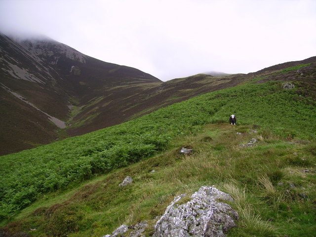 File:Ascending Lad Hows - geograph.org.uk - 654688.jpg