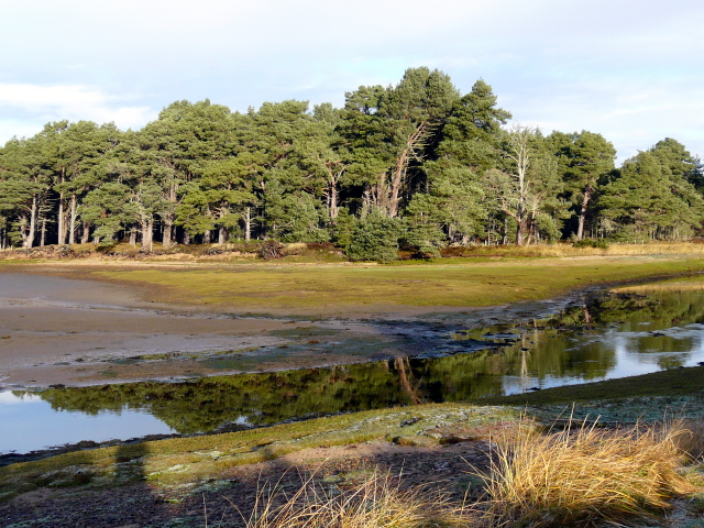 Balblair Bay - at low tide - geograph.org.uk - 624669