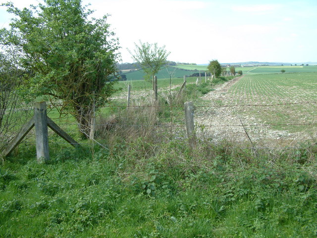 File:Breamore Down, Hampshire - geograph.org.uk - 160729.jpg