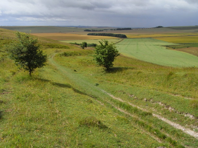 File:Bridleway on Cherhill Down - geograph.org.uk - 1564983.jpg