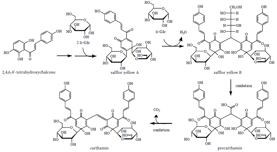 Carthamin foreslog biosynthesis.png