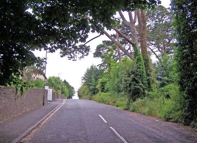 File:Cedars Road and The Copse - geograph.org.uk - 887434.jpg