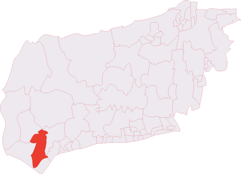 Chichester South (electoral division)