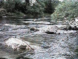 <span class="mw-page-title-main">Chino Creek</span> River in California, United States