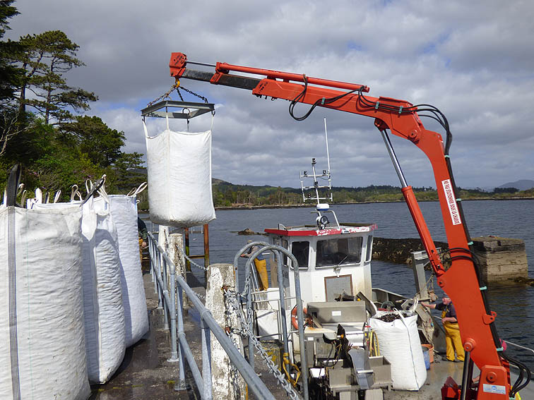 File:Coongar Lass offloading bags of washed mussels - geograph.org.uk - 4486115.jpg