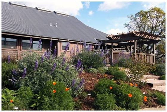 Cosumnes River Preserve Besucherzentrum2