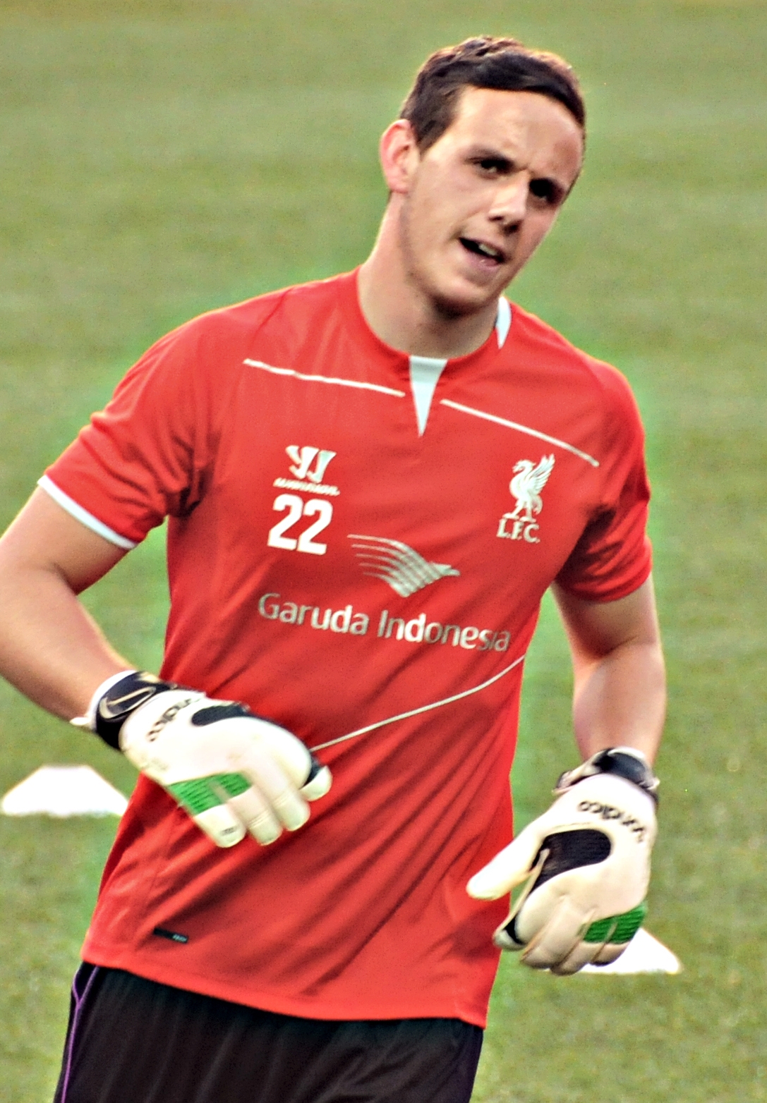 داني وارد (لاعب كرة قدم ويلزي) - ويكيبيديا