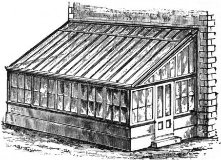 EB1911 - Horticulture - Fig. 2.—Lean-to Plant House.jpg