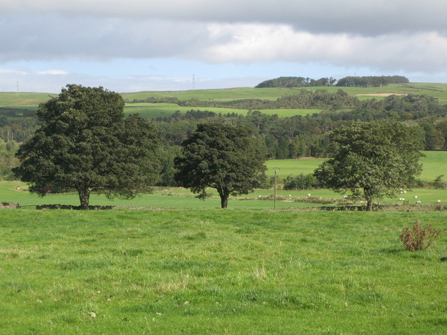 File:Farmland between Plenmeller and the River South Tyne - geograph.org.uk - 2067147.jpg