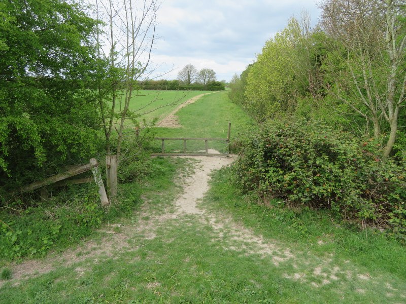 File:Farmland south of Stow Cum Quy Fen - geograph.org.uk - 5353004.jpg