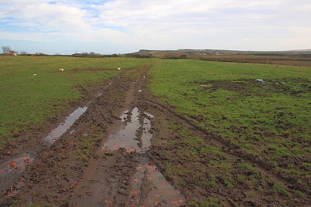 File:Field off Osgodby lane - geograph.org.uk - 2159893.jpg