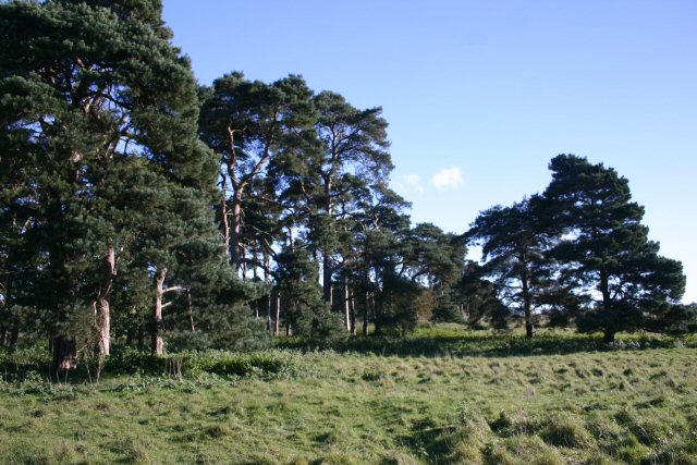 Deadman's Grave, Icklingham