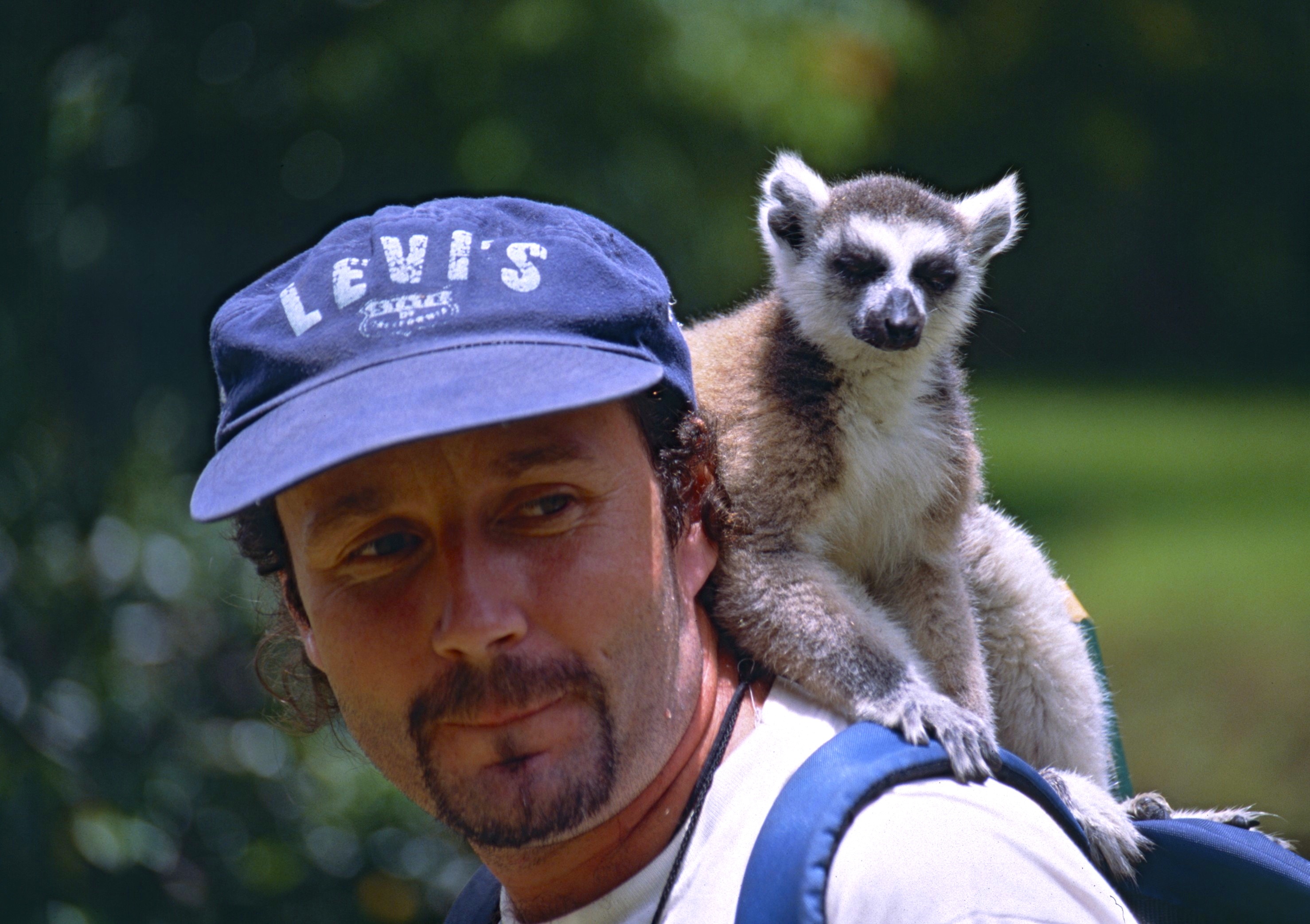 Jean NICOLAS and a Ring-tailed Lemur (Lemur catta) (9589859357).jpg