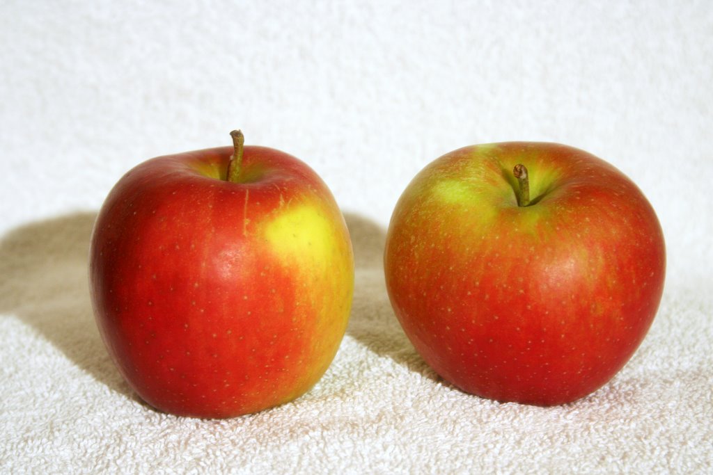 File Jonagold Apple Jpg Wikimedia Commons