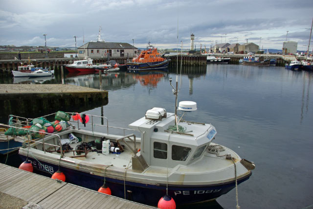 File:Kirkwall Harbour - geograph.org.uk - 1446203.jpg