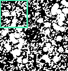 Figure 2c. Boxes laid over an image concentrically focused on each pixel of interest. Lcfd.gif