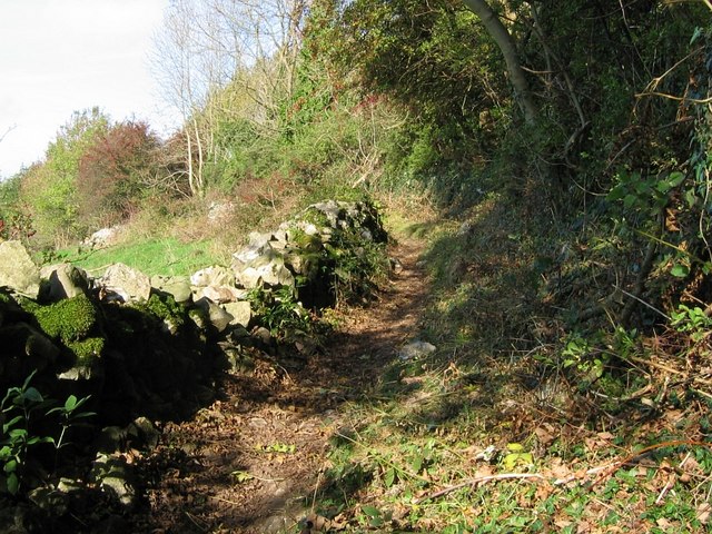 File:Limestone Way above Bonsall - geograph.org.uk - 272393.jpg